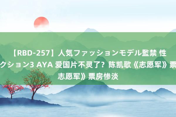 【RBD-257】人気ファッションモデル監禁 性虐コレクション3 AYA 爱国片不灵了？陈凯歌《志愿军》票房惨淡