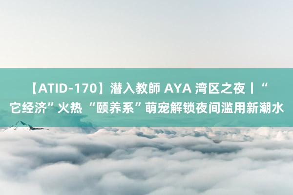 【ATID-170】潜入教師 AYA 湾区之夜丨“它经济”火热 “颐养系”萌宠解锁夜间滥用新潮水