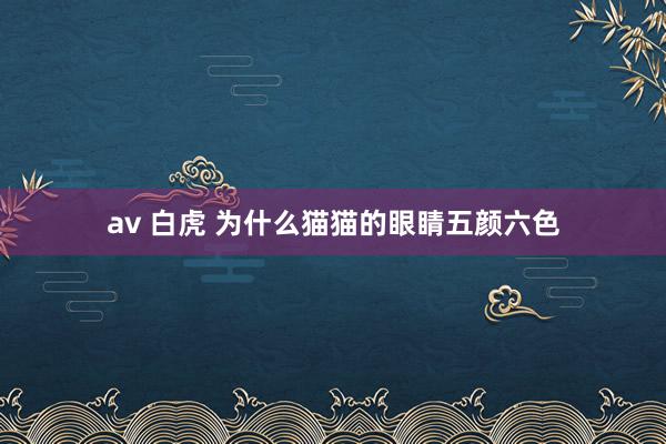 av 白虎 为什么猫猫的眼睛五颜六色