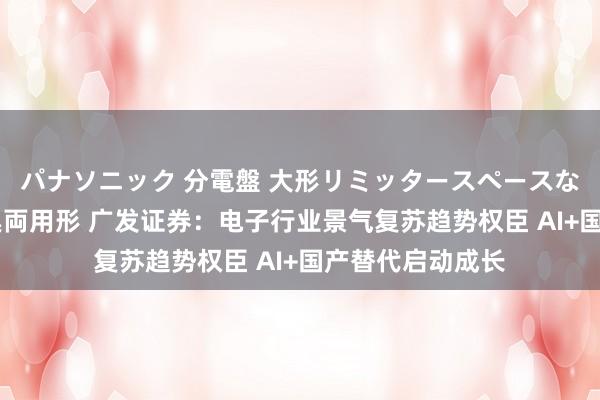 パナソニック 分電盤 大形リミッタースペースなし 露出・半埋込両用形 广发证券：电子行业景气复苏趋势权臣 AI+国产替代启动成长